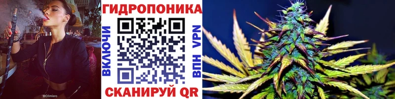 Галлюциногенные грибы Белореченск