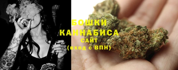 мяу мяу мука Переславль-Залесский