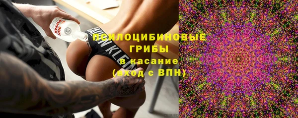 скорость Алексин