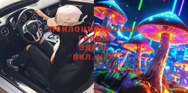 спиды Алексеевка
