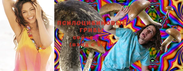 спиды Алексеевка