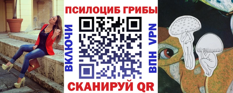 купить наркотик  Белореченск  Псилоцибиновые грибы Psilocybe 